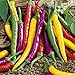 Photo NIKA SEEDS - Vegetable Ornamental Chili Pepper Mix Decorative Rainbow Plant - 30 Seeds new bestseller 2024-2023