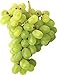 foto Pinkdose 30seds / bag seme fertilizzante frutto di semi d'uva frutta balcone in vaso 5: 2 nuovo bestseller 2024-2023