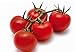 foto POMODORO CILIEGINO NERO 30 SEMI Pomodorino Dolce Alta Resa Black Cherry Tomato nuovo bestseller 2024-2023