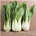 foto Pacchetto di 300 semi, Pak Choi bianco Stem Semenza di cavolo (Brassica rapa) nuovo bestseller 2024-2023