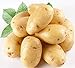 foto PlenTree 120 pezzi di patate Semi Antirughe nutrizione verde vegetale per il giardino domestico che pianta i semi di patate assorbendo la radiazione nuovo bestseller 2024-2023
