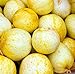 foto Farmerly 30 Organic Lemon cetriolo Semi Heirloom Non-GMO croccante dolce fragrante gialle nuovo bestseller 2024-2023