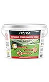 Semi Batlle Intelligente Micro 710721UNID fertilizzanti Prato 5 kg foto, bestseller 2024-2023 nuovo, miglior prezzo EUR 25,86 recensione