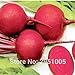 foto Pinkdose 8 grammi di barbabietola rossa, verdura, cortile balcone in vaso giardino di casa spedizione gratuita nuovo bestseller 2024-2023