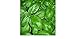 foto BASILICO GENOVESE 270 SEMI foglia larga PESTO LIGURE Basil pianta erba aromatica nuovo bestseller 2024-2023