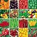Foto 700PC weltweit umfassendste Vier Arten von Gemüse und Obst Samen. (RADISH, Auberginen, Paprika, Tomatensamen) Bunte Garten neu Bestseller 2022-2021