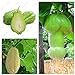 foto Impianti all'aperto giardino ornamentale zucca Chayote semi Bonsai Pianta in vaso Verde Frutta verdura sementi di alta nutrizione 10 pezzi nuovo bestseller 2024-2023