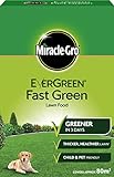EverGreen estremo prato verde scatola di fertilizzante 80 m² foto, bestseller 2024-2023 nuovo, miglior prezzo EUR 20,10 recensione