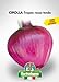 foto Sementi orticole di qualità l'ortolano in busta termosaldata (160 varietà) (CIPOLLA TROPEA ROSSA TONDA) nuovo bestseller 2024-2023