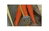 30x Carota Giove ( Flakkese Sel - Carote Seme Verdure KS599 foto, bestseller 2024-2023 nuovo, miglior prezzo EUR 10,74 recensione