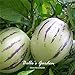 foto Semi 20pcs Pepino Semi pepino melone pera giardino domestico di DIY BonsaïPianta nuovo bestseller 2024-2023
