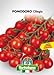 foto Sementi orticole di qualità l'ortolano in busta termosaldata (160 varietà) (POMODORO CILIEGIA) nuovo bestseller 2024-2023