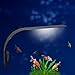 foto Luce LED acquario UEETEK Lampada clip per acquario luminoso con luce bianca nuovo bestseller 2024-2023