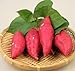 foto Pinkdose 100pcs / bag dolci semi di patate Verdura semi freschi di frutta verdura e alimentari Forniture da giardino piante bonsai per il giardino di casa: 1 nuovo bestseller 2024-2023