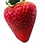 Foto Riesen Erdbeere ca 40 Samen -Größte Erdbeere der Welt- neu Bestseller 2022-2021