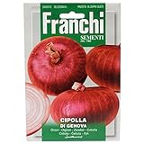 franchi cipolla rossa di Genova foto, bestseller 2024-2023 nuovo, miglior prezzo EUR 2,61 recensione