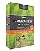 foto Vitax Green Up Enhance 100 sqm – autunno prato fertilizzante nuovo bestseller 2024-2023