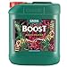 foto BOOST Accelerator 5 L – canna nuovo bestseller 2024-2023