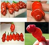 Piante da giardino Peter Pepper Seeds peperoncino 50 semi / pacchetto rosso caldo foto, bestseller 2024-2023 nuovo, miglior prezzo EUR 3,29 recensione