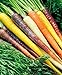 Foto CalendTree Saatgut, Regenbogenmischung, Karottensamen, Erbstück, organisch, Nicht GMO Little Samen, 200 Samen neu Bestseller 2022-2021