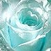 foto Ncient 20/50 Semi Sementi di Rosa Blu Chiaro Semi di Fiori Rari Pianta Profumati per Orto Giardino Balcone Interni ed Esterni nuovo bestseller 2024-2023