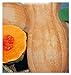 Foto 35 aprox - Butternut Rugosa Kürbiskerne - Cucurbita moschata In Originalverpackung Hergestellt in Italien - Wrinkled Pumpkins neu Bestseller 2022-2021