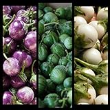 SEMI PLAT FIRM- (400) commestibili semi di verdure asiatica rotonda bianco, viola Thai melanzana (Solanum Melongena) da Kitchenseeds foto, bestseller 2024-2023 nuovo, miglior prezzo EUR 12,99 recensione