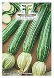 40 C.ca Semi Zucchino San Pasquale - Cucurbita Pepo In Confezione Originale Prodotto in Italia - Zucchine foto, bestseller 2024-2023 nuovo, miglior prezzo EUR 7,40 recensione