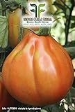 700 C.ca Semi Pomodoro Pearson - Lycopersicum Esculenthum In Confezione Originale Prodotto in Italia - Pomodori foto, bestseller 2024-2023 nuovo, miglior prezzo EUR 7,40 recensione