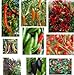 foto Collezione di semi di peperoncino - 10 confezioni, 10 varietà, 100 semi. nuovo bestseller 2024-2023