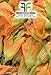 foto 40 C.ca Semi Zucchino da fiori - Cucurbita Pepo In Confezione Originale Prodotto in Italia - Zucchine da fiore nuovo bestseller 2024-2023