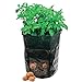 foto Moonvvin Garden Grow Bag,7 Gallon Heavy Duty Durevole Borsa con Manici Verdura Patate Sacchi per Patate, Carota, Cipolla e Verdure Fiore pianta nuovo bestseller 2024-2023