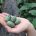 foto Rosepoem 10pcs mini semi di anguria pollice semi Meravigliosamente delizioso Semi di Cucamelon 10 PEZZI nuovo bestseller 2024-2023
