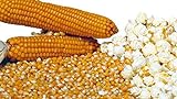 Semi Di Mais Da Pop Corn 50g foto, bestseller 2024-2023 nuovo, miglior prezzo EUR 4,40 recensione