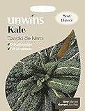 Pacchetto Unwins Pictorial – Cavolo Nero – 200 semi foto, bestseller 2024-2023 nuovo, miglior prezzo EUR 1,66 recensione