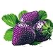 Foto Lamdoo 100x seltene Erdbeere Berry Seed nahrhafte Früchte Pflanze frische Samen (lila) neu Bestseller 2022-2021