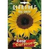Semi - Girasole Big Smile foto, bestseller 2024-2023 nuovo, miglior prezzo EUR 6,35 recensione