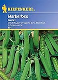 Erbsen Lancet / Markerbsen Foto, Bestseller 2022-2021 neu, bester Preis EUR 3,59 Rezension