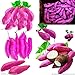 foto Pinkdose Giallo piante di patate dolci piante da giardino Bonsai Jicama/dolci frutta e verdura piante di patate per 20 Pz imballaggio di trasporto: viola nuovo bestseller 2024-2023