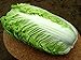 foto PLAT firm-semi di ortaggi Semi Cavolo cinese Giant China Heirloom NON-OGM nuovo bestseller 2024-2023