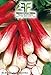 Foto 600 aprox - Rettich Samen Halb Lange Rot Weiß Tipp 2 - Raphanus sativus In Originalverpackung Made in Italy - Lange Ravanelli neu Bestseller 2022-2021