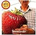 foto ! Promozione fragola gigante semi dolce fragola quattro stagioni, Rare, fragrante, dolce & Juicy - 200 pc / lotto, # JO9E8A nuovo bestseller 2024-2023