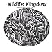 foto Wildlife Kingdom - Semi di girasole striati di alta qualità, adatti come cibo per i pappagalli parrocchetto, mangime energetico per uccelli selvatici✔ nuovo bestseller 2024-2023