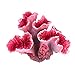 foto UEETEK Coralli rosa per decorazione acquario nuovo bestseller 2024-2023
