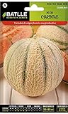 Semi Batlle – Melone foto, bestseller 2024-2023 nuovo, miglior prezzo EUR 7,62 recensione