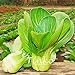 foto 200pcs Shanghai Verde Pak Choi Semi pakchoi cavolo Brassica Campestris Vegetable Seeds giardino domestico di DIY pianta nuovo bestseller 2024-2023