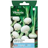 Vilmorin - Bustina semi Cipolle bianco presto de Paris foto, bestseller 2024-2023 nuovo, miglior prezzo  recensione