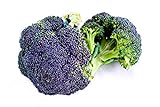 Broccoli Miranda semi - Brassica oleracea foto, bestseller 2024-2023 nuovo, miglior prezzo EUR 4,66 recensione