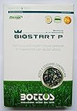 Concime Fertilizzante per Prato Bottos Bio Start 12-20-15- 25 Kg foto, bestseller 2024-2023 nuovo, miglior prezzo EUR 69,60 recensione