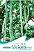 Foto 4 Tropical Snake Kürbiskerne - Trichosanthes Anguina L - Kürbiskern in Original Pflanzliche Verpackung neu Bestseller 2022-2021